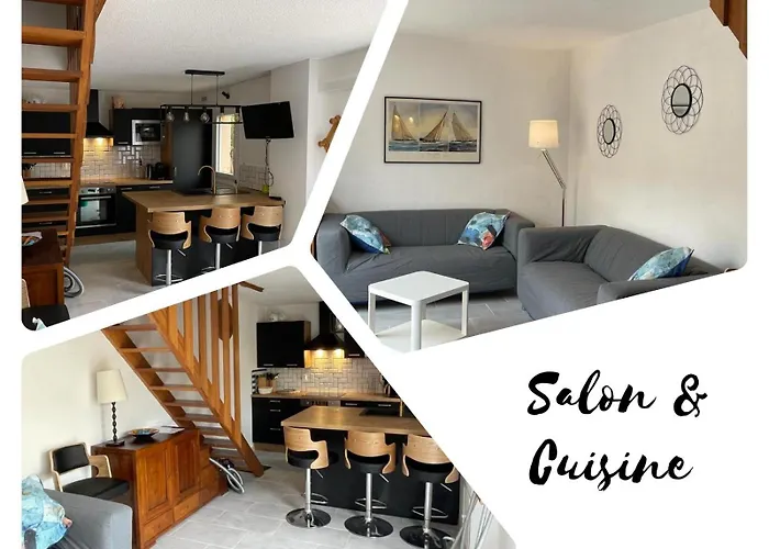 Lauriers Roses - Clim Wifi Parking - Piscine Dans - Marina St Cyprien