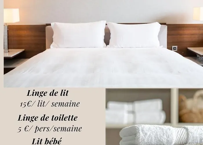 Vakantiehuis Lauriers Roses - Clim Wifi Parking - Piscine Dans - Marina St Cyprien *